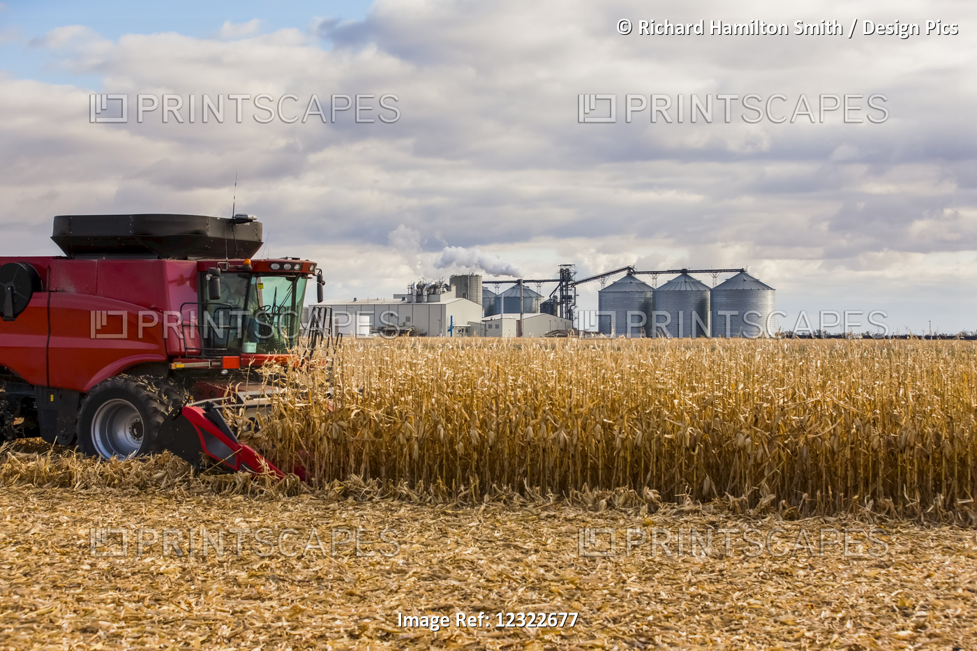 Corn Harvest Near The Poet Biorefinery, An Ethanol Producer; Groton, South ...