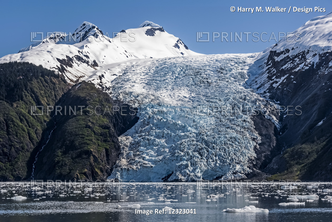 Coxe Glacier In Barry Arm Of Prince William Sound, South-Central Alaska; ...