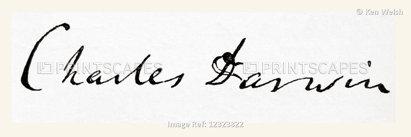 Signature Of Charles Robert Darwin, 1809 - 1882.  English Naturalist And ...