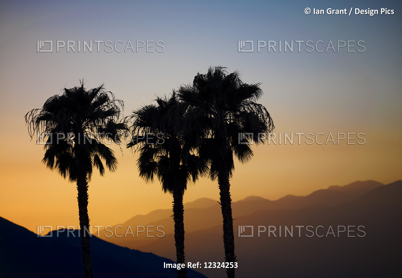 Silhouette Of Three Palm Trees At Sunset With Layers Of Mountains Silhouetted ...