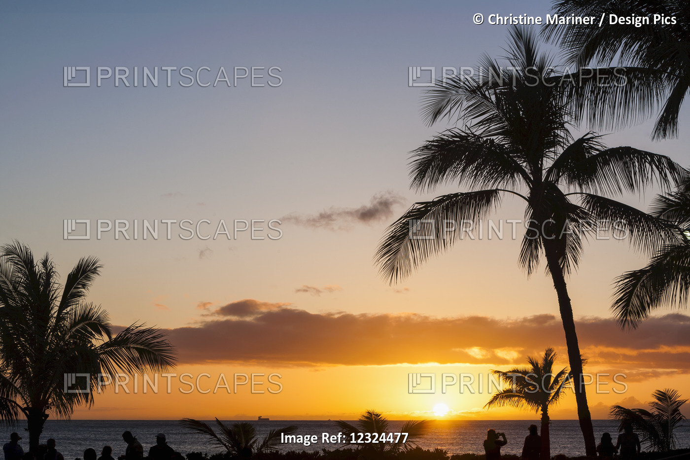 Silhouetted Palm Trees And Tourists Along The Coast Looking At A Golden Sunset ...