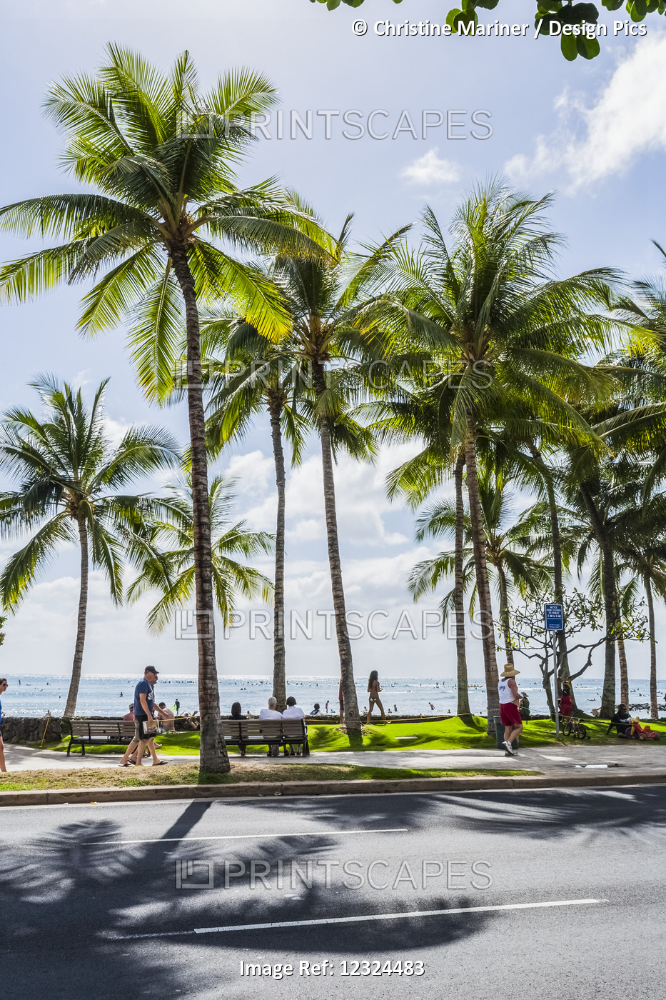Tourists Walking Along The Street With Palm Trees And A View Of The Ocean In ...