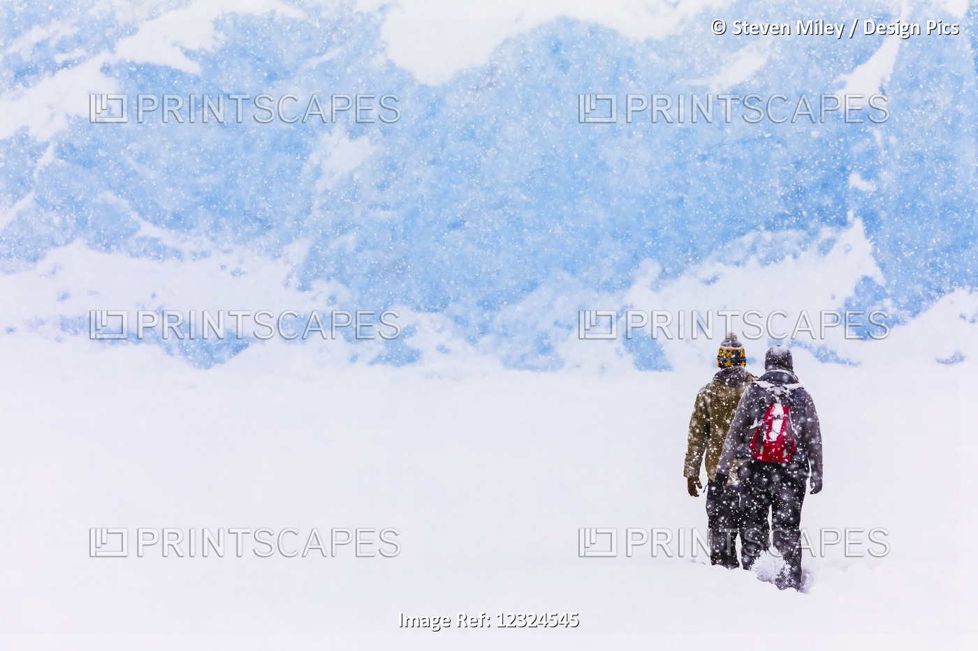 A Couple Snowshoes Across Portage Lake During A Heavy Snowfall In Winter To See ...