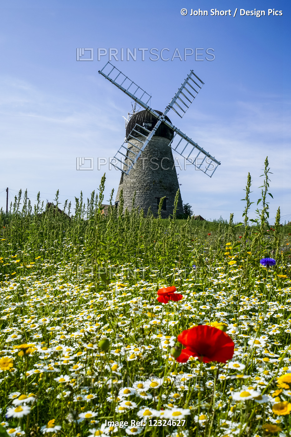 A Windmill Against A Blue Sky And Cloud With A Field Of Wildflowers In The ...