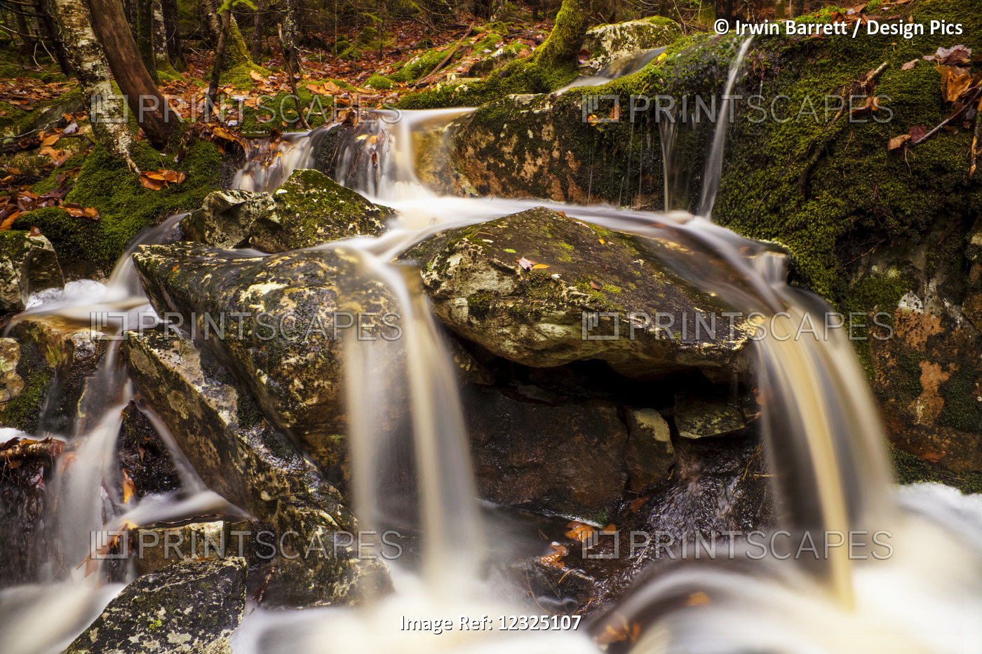 Small Waterfall In The Woods In Autumn; Bedford, Nova Scotia, Canada