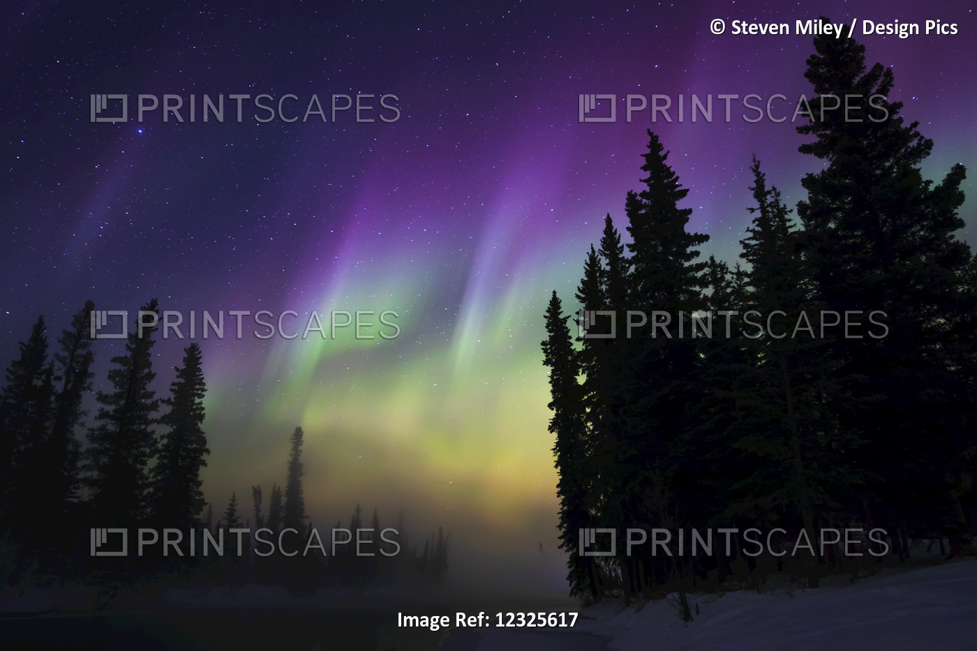 A Colorful Aurora Glows Above Fog On Clearwater River In Delta Junction, Alaska ...