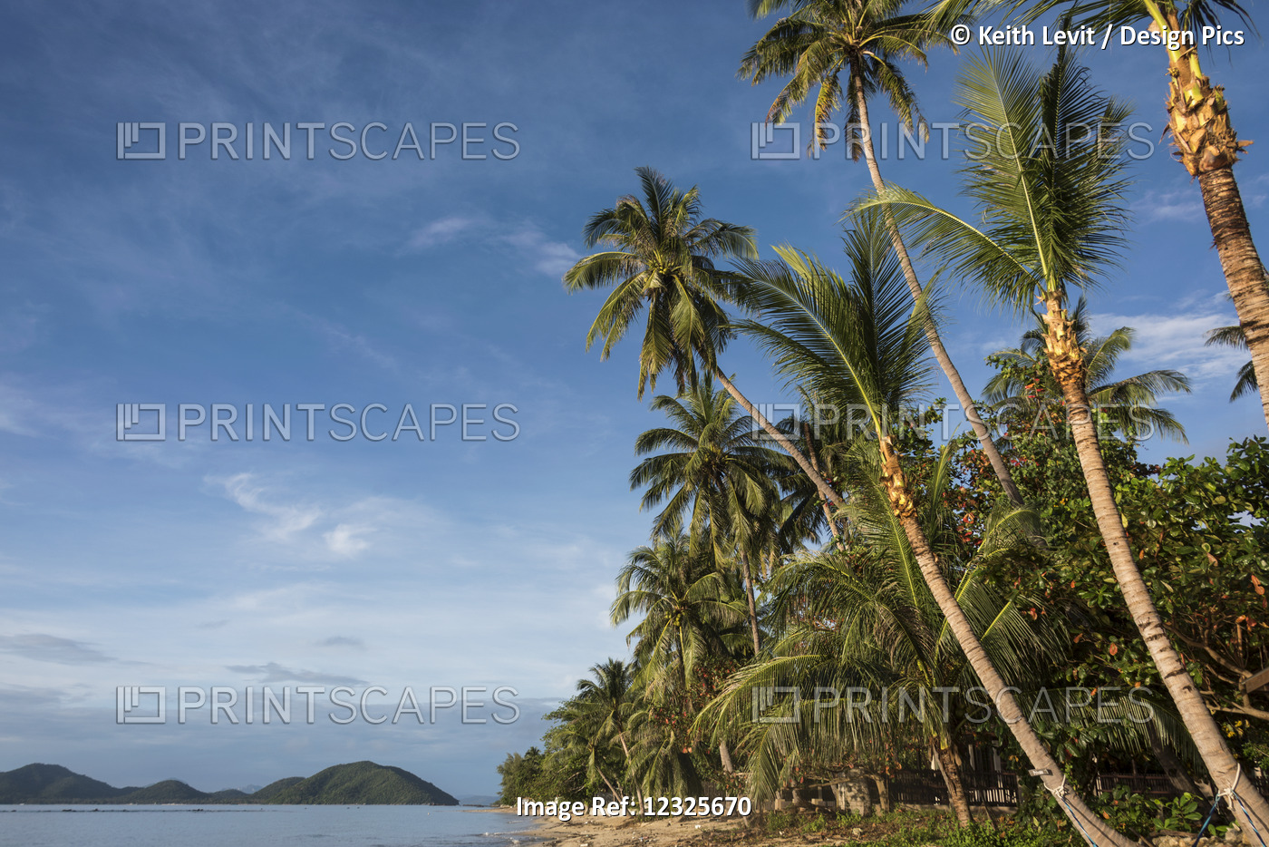 Palm Trees Line The Beach Along The Gulf Of Thailand Under A Blue Sky; Ko ...