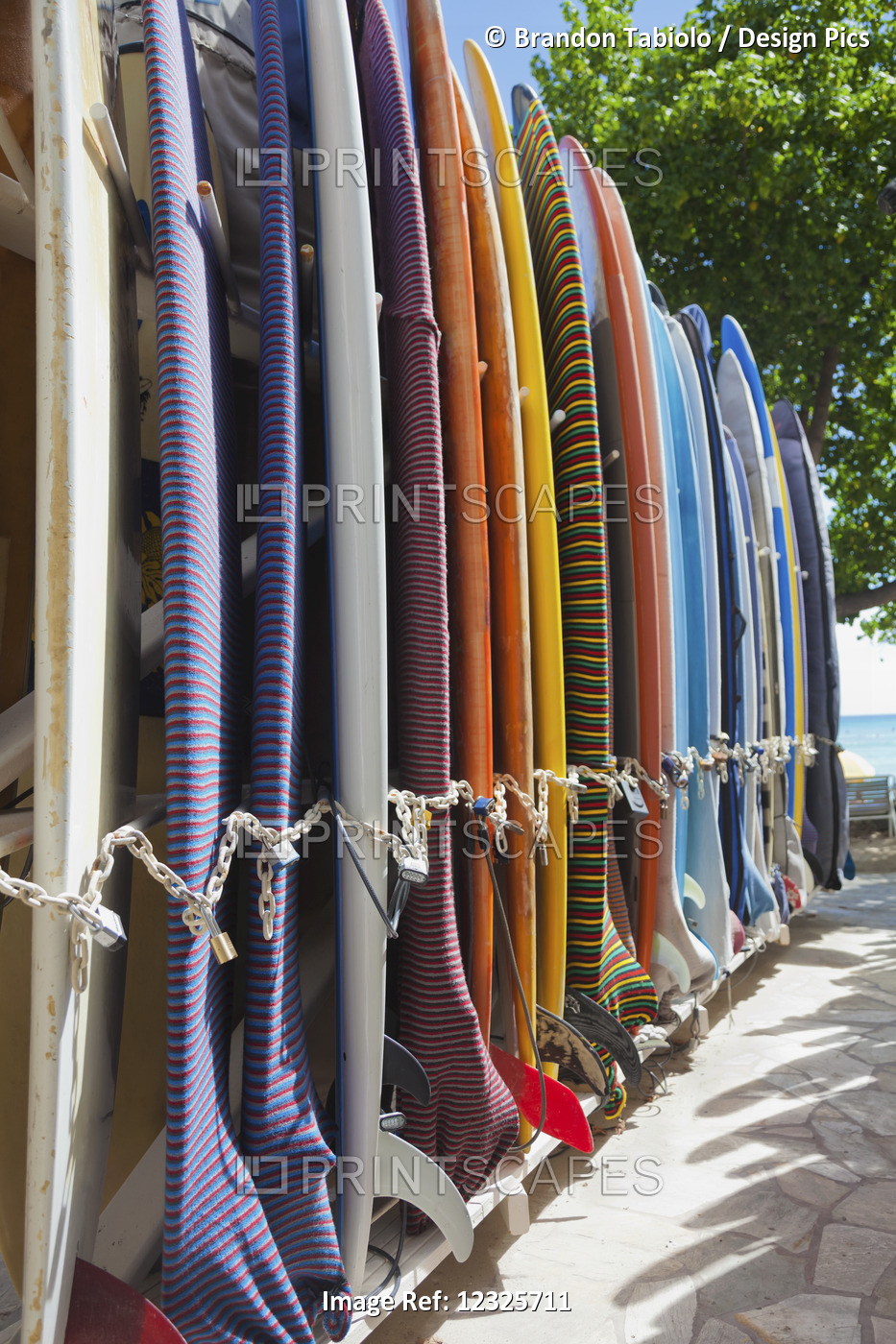 Colourful Long Surfboards In A Rack Near Waikiki Beach; Honolulu, Oahu, Hawaii, ...