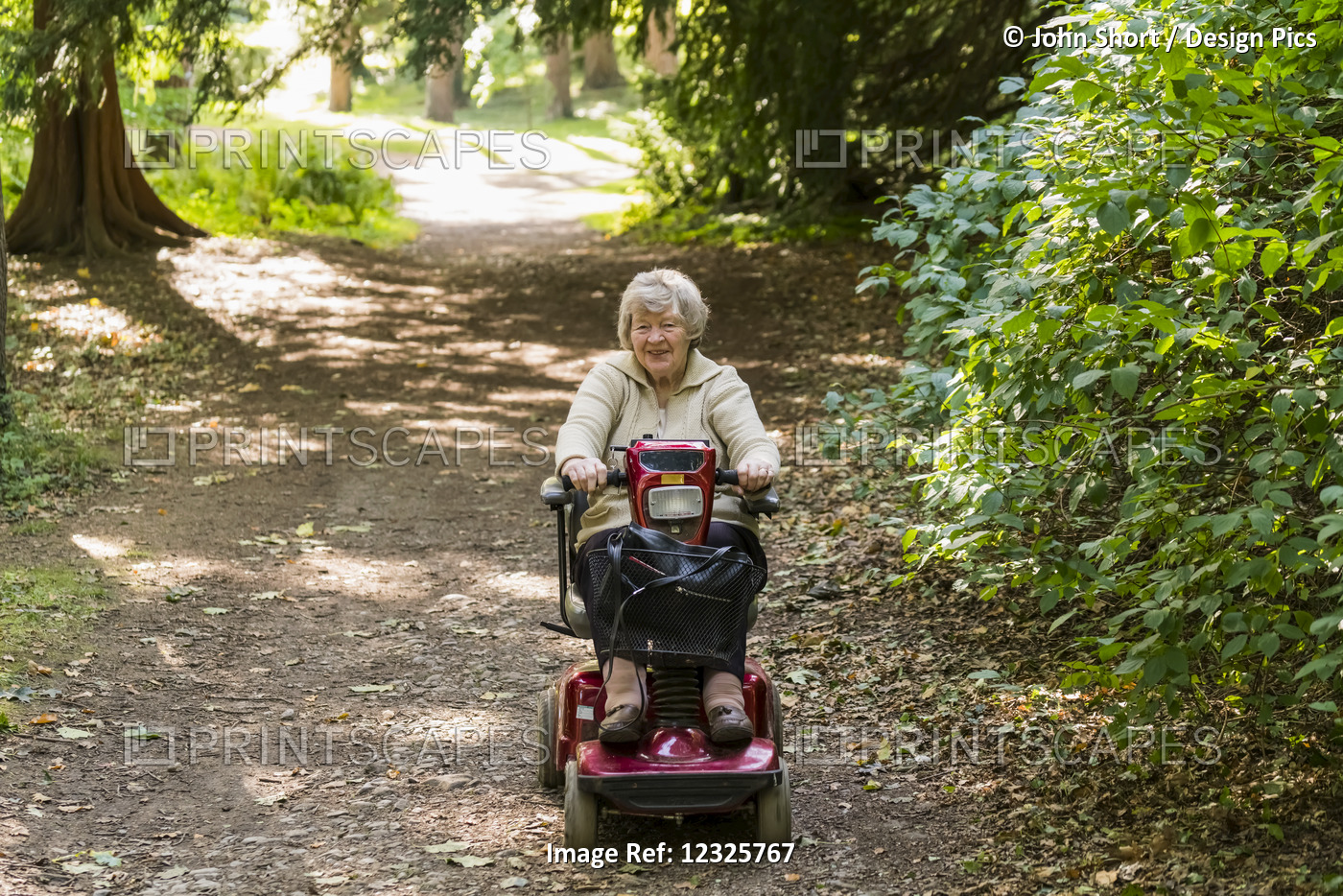 A Senior Woman Rides A Motorized Wheelchair Down A Trail In A Park; Yorkshire, ...