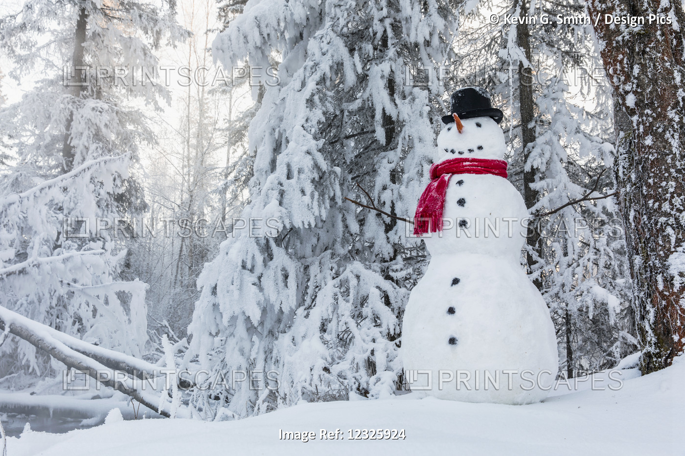 Snowman Along Hoarfrost Covered Forest At Sunset, Anchorage, Southcentral ...