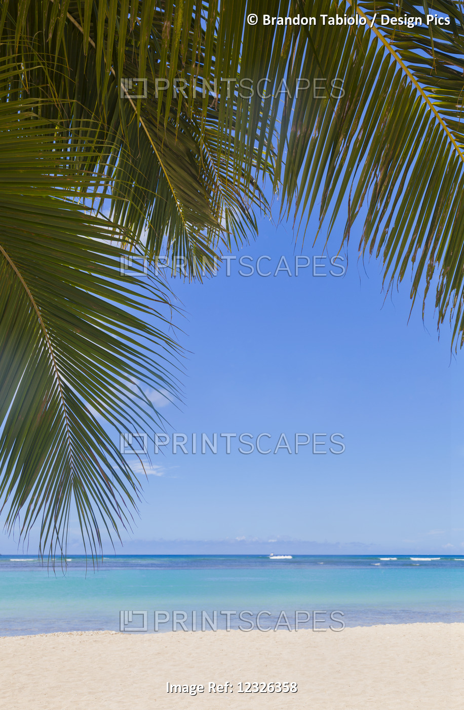 Beautiful Clear Day On A White Sandy Beach With Coconut Palm Tree Fronds ...