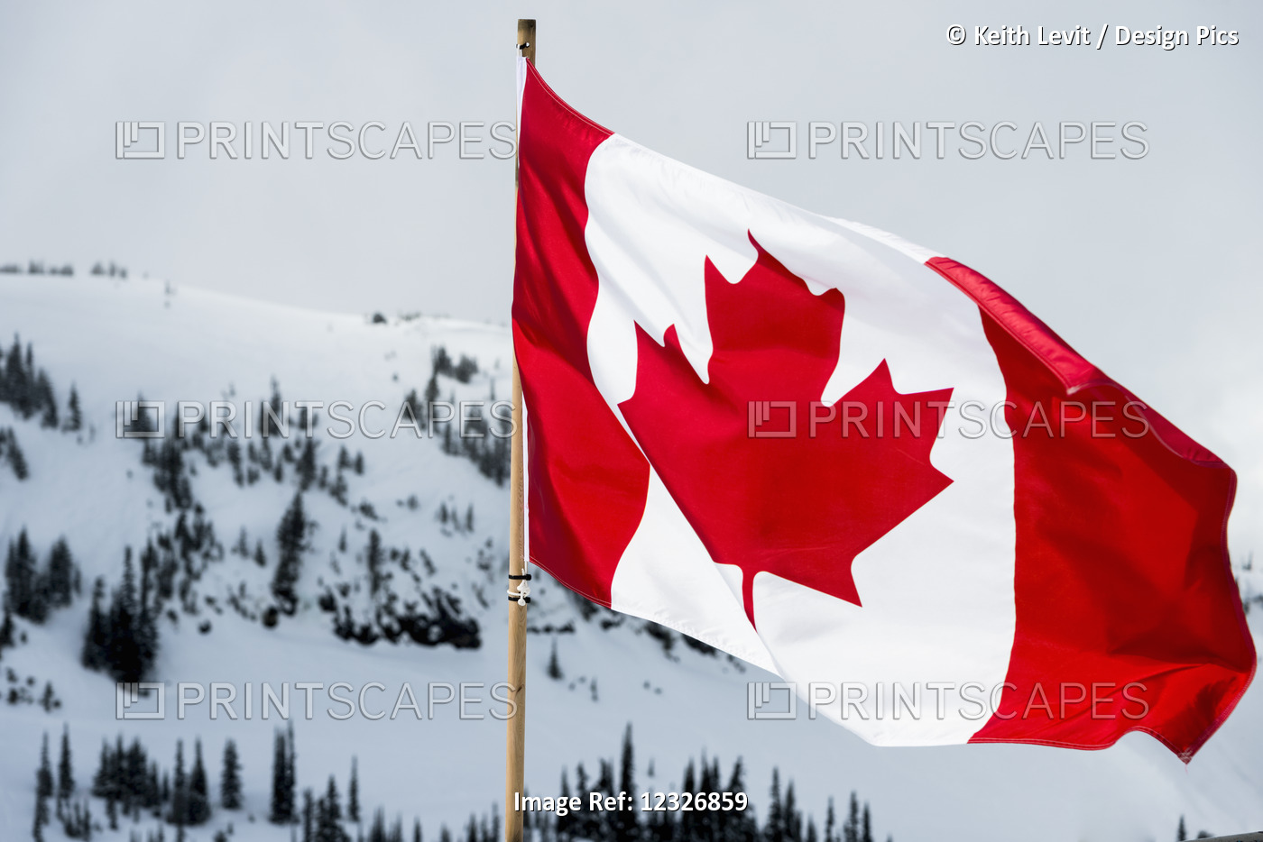 A Canadian Flag With Snow Covered Mountains And Trees In The Background; ...