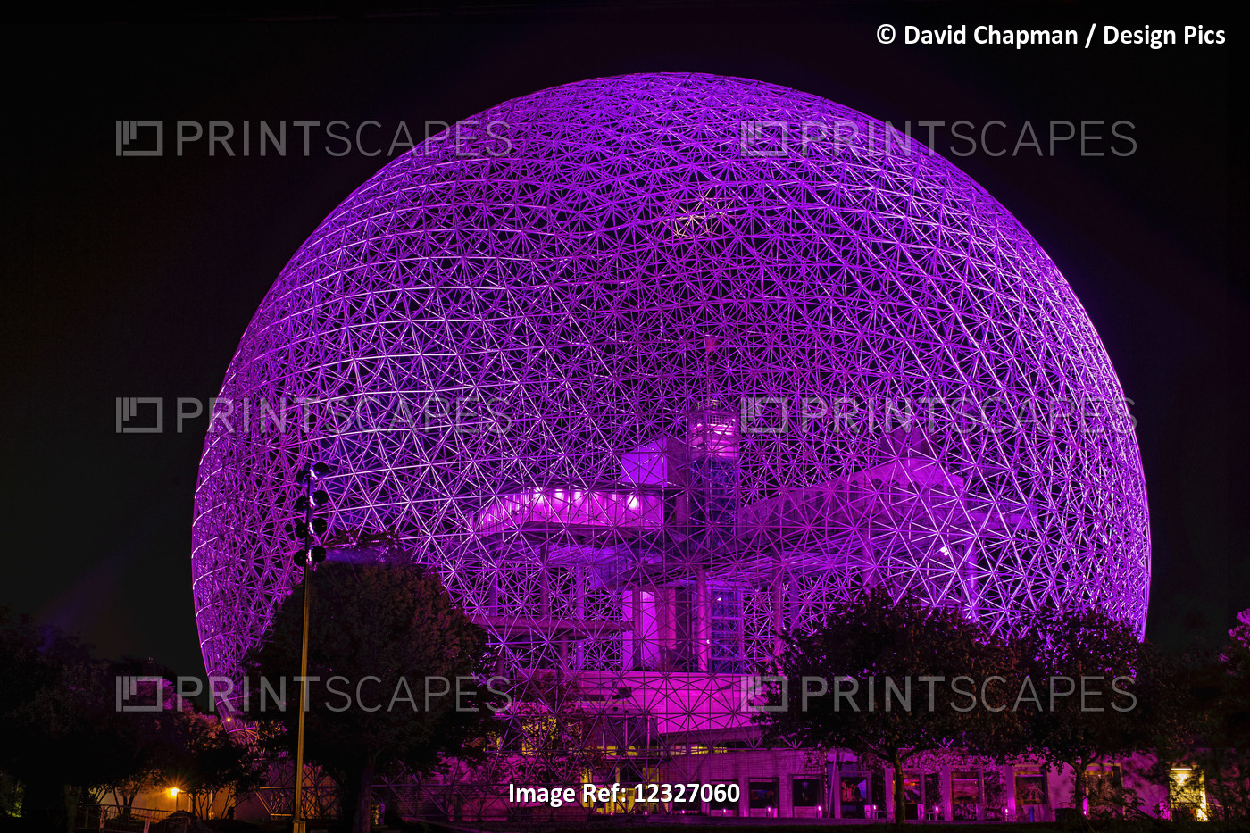 The purple biosphere