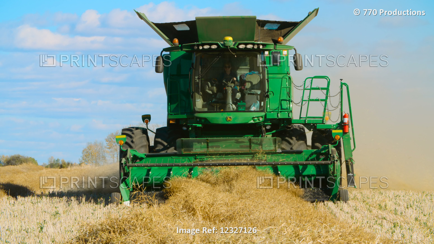 Combine harvesting a canola field, near Legal; Alberta, Canola