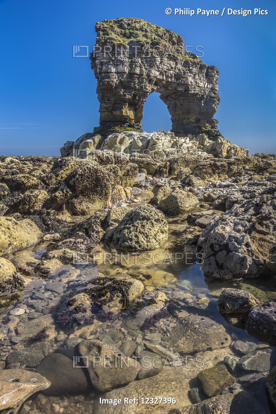 Rock Arch On Rocky Coastline In North East England; Whitburn, Tyne And Wear, ...