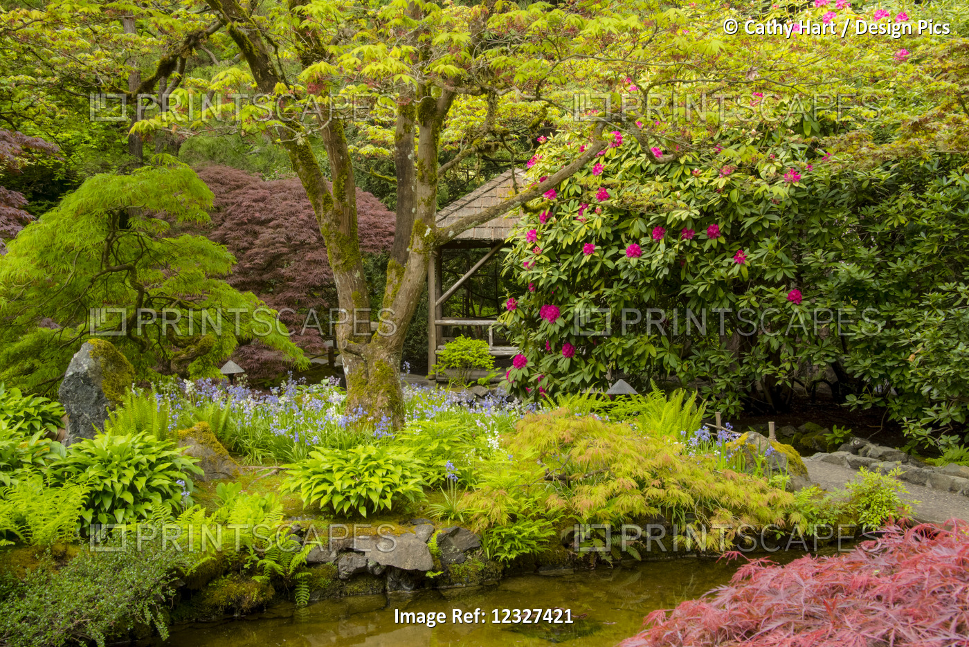 Japanese Garden At Butchart Gardens; Victoria, British Columbia, Canada