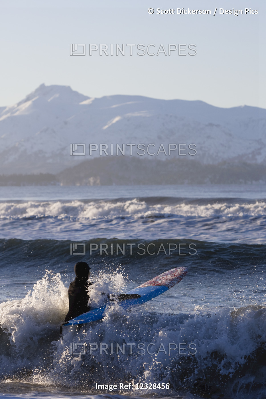 Female surfer enters the waters of Kachemak Bay, South-central Alaska; Homer, ...
