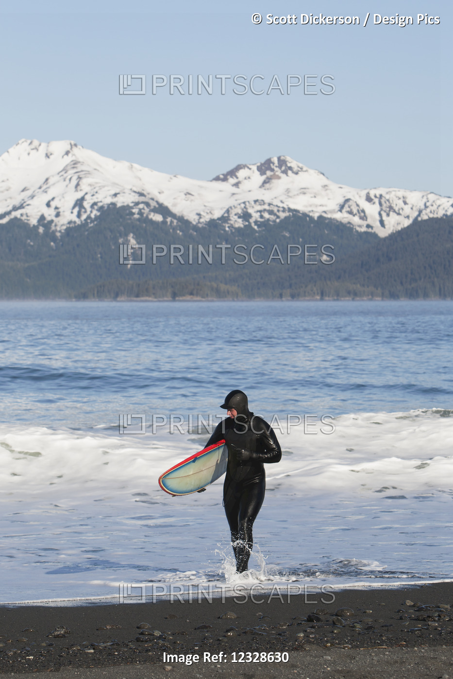 Surfer walking in the water on the Kenai Peninsula Outer Coast, South-central ...