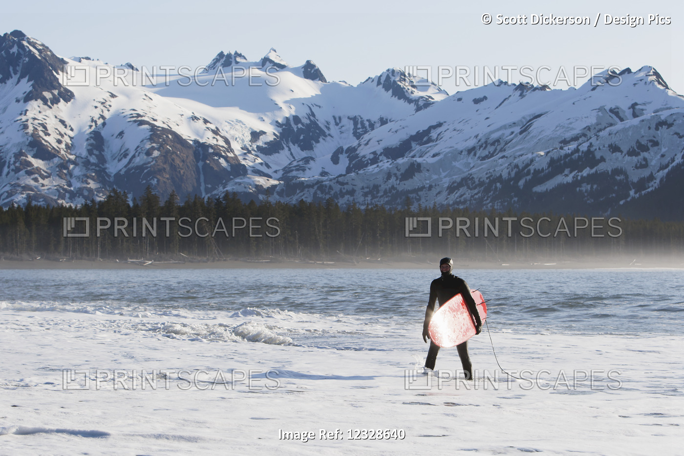 Surfer standing in the ocean along the Kenai Peninsula Outer Coast, ...