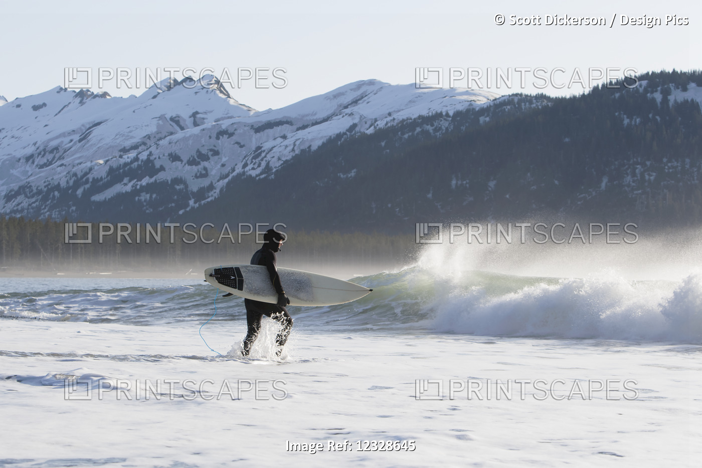 Surfer walking into the ocean along the Kenai Peninsula Outer Coast, ...