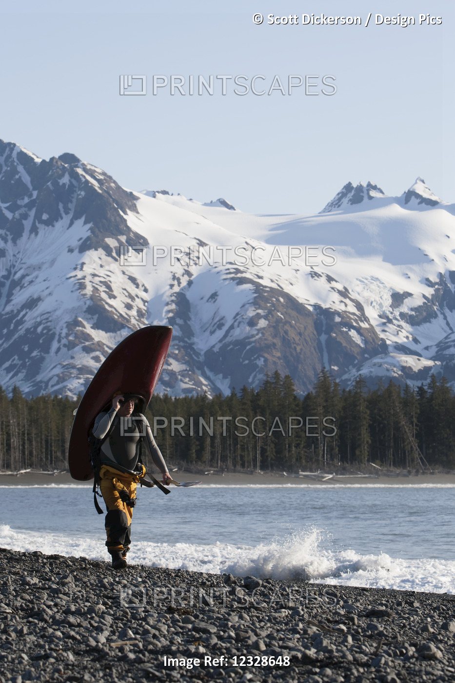 Surfer carrying his surfboard along the Kenai Peninsula Outer Coast, ...