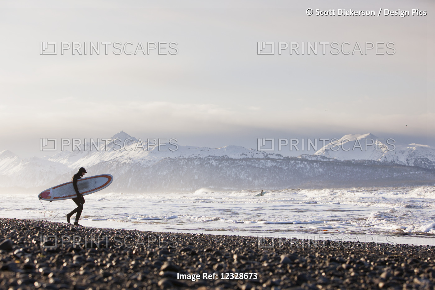 Surfer with surfboard entering Kachemak Bay, South-central Alaska; Homer, ...