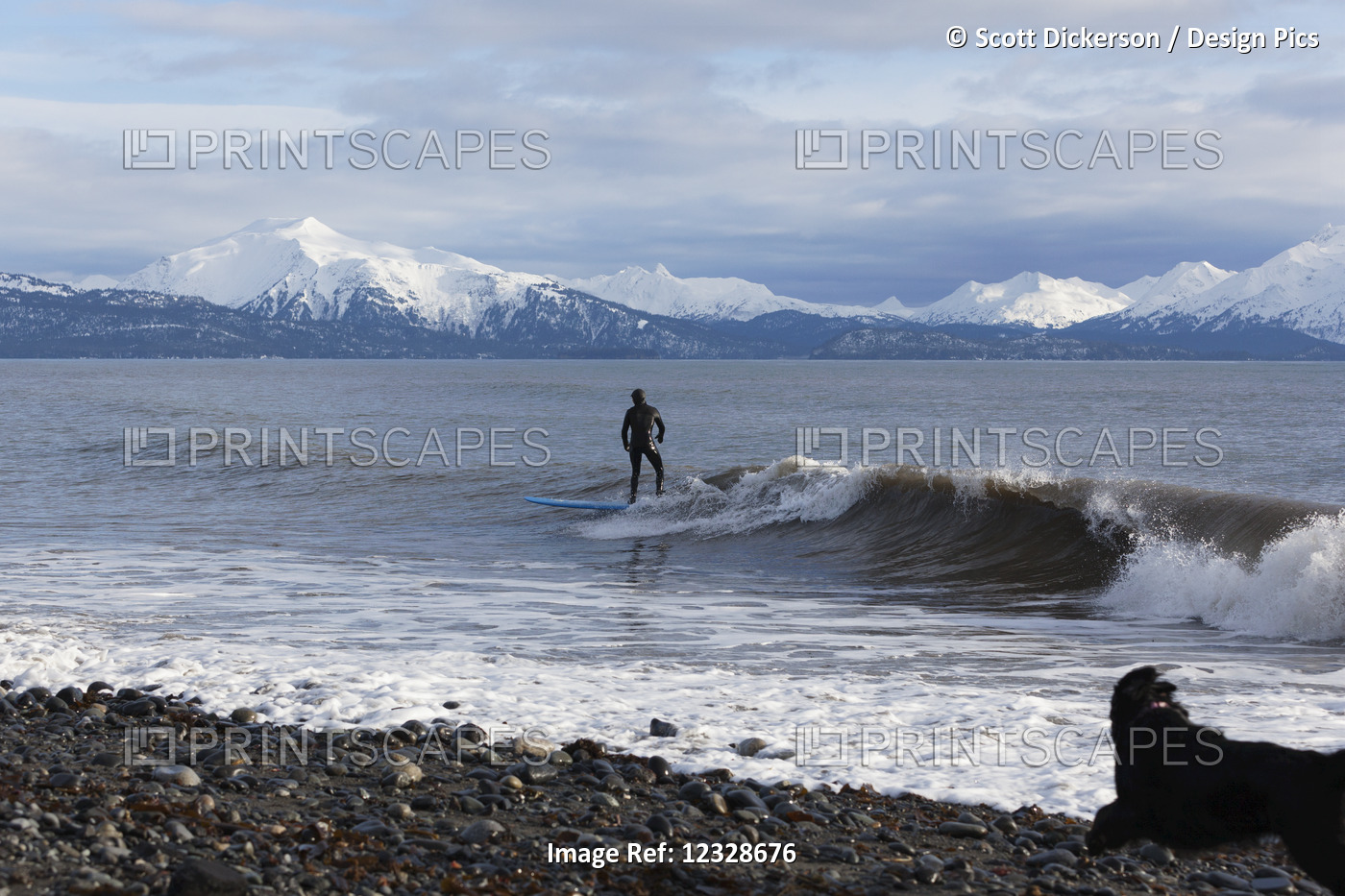 Surfer in Kachemak Bay, South-central Alaska; Homer, Alaska, United States of ...