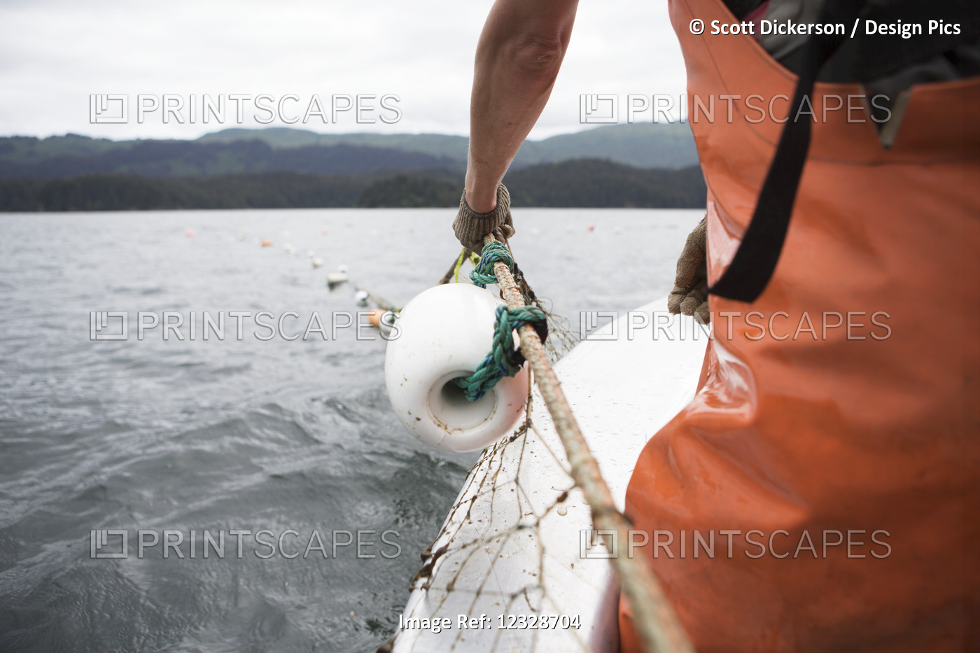 Set-net fishermen pulling the net aboard a set-net skiff, South-central Alaska; ...