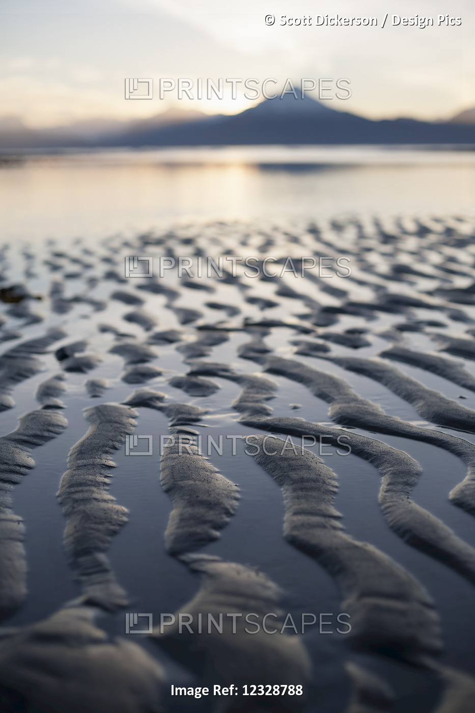 Close-Up Of The Ripples And Tide Pools On The Shores Of The Tidal Flats At ...