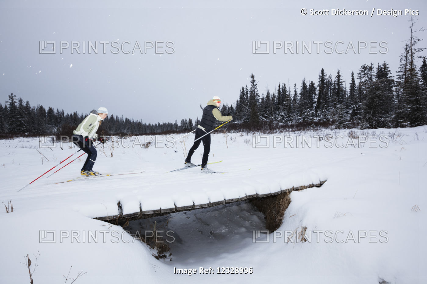 Cross Country Skiing Across A Small Bridge In Winter; Homer, Alaska, United ...