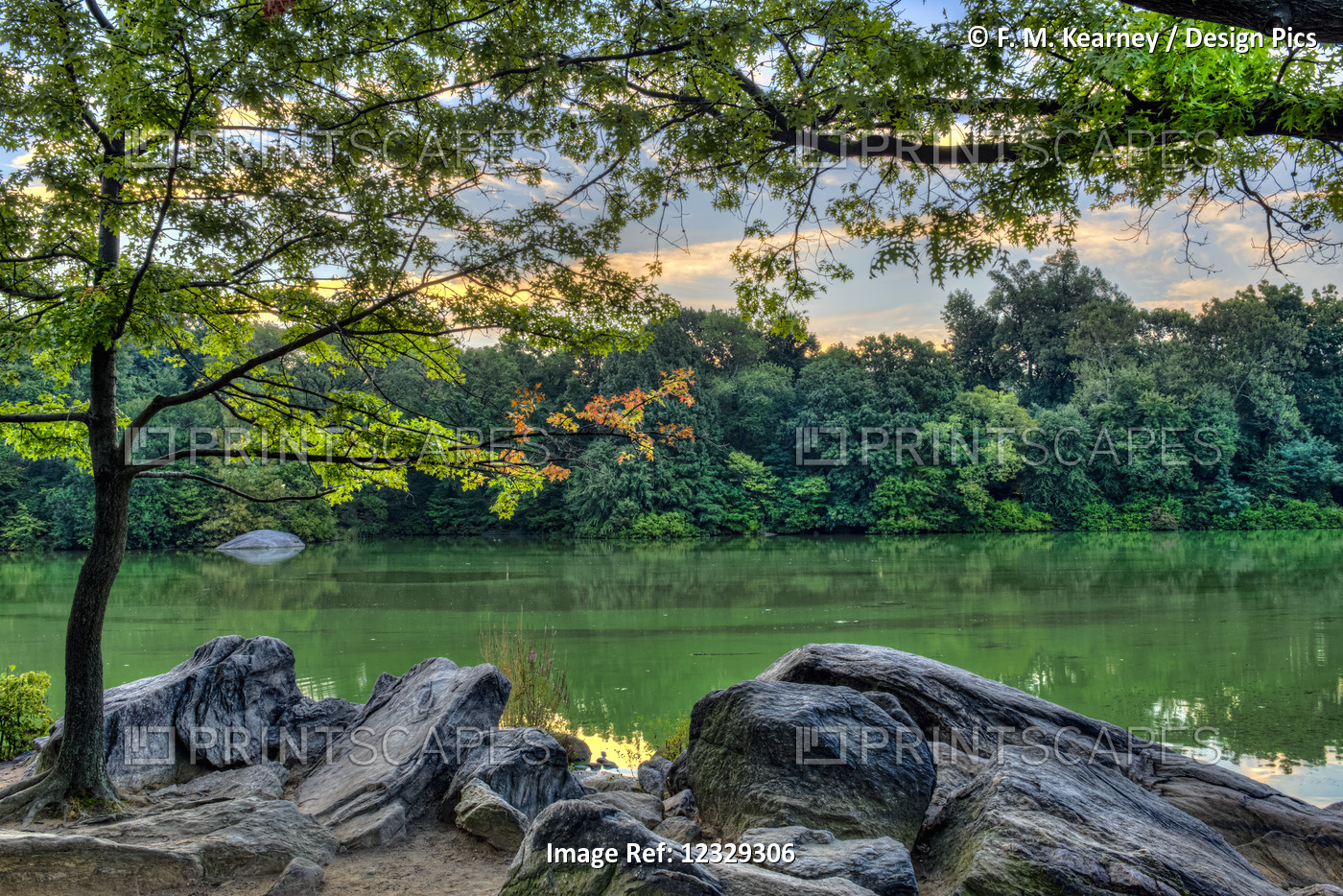 The Lake At The Hernshed, Central Park; New York City, New York, United States ...