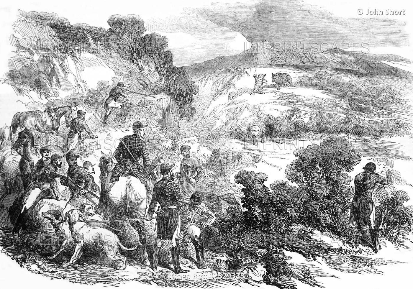 The Illustrated London News Etching From 1853. A Bear Hunt In The Pyrenees