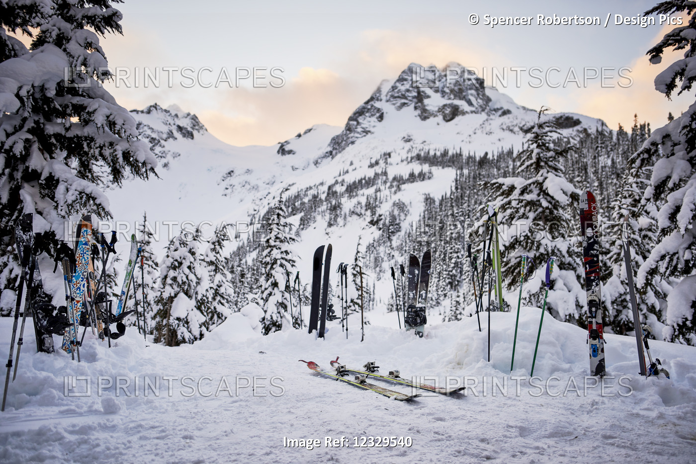 Pairs Of Skis And Poles In The Snow In The Backcountry In Winter; British ...