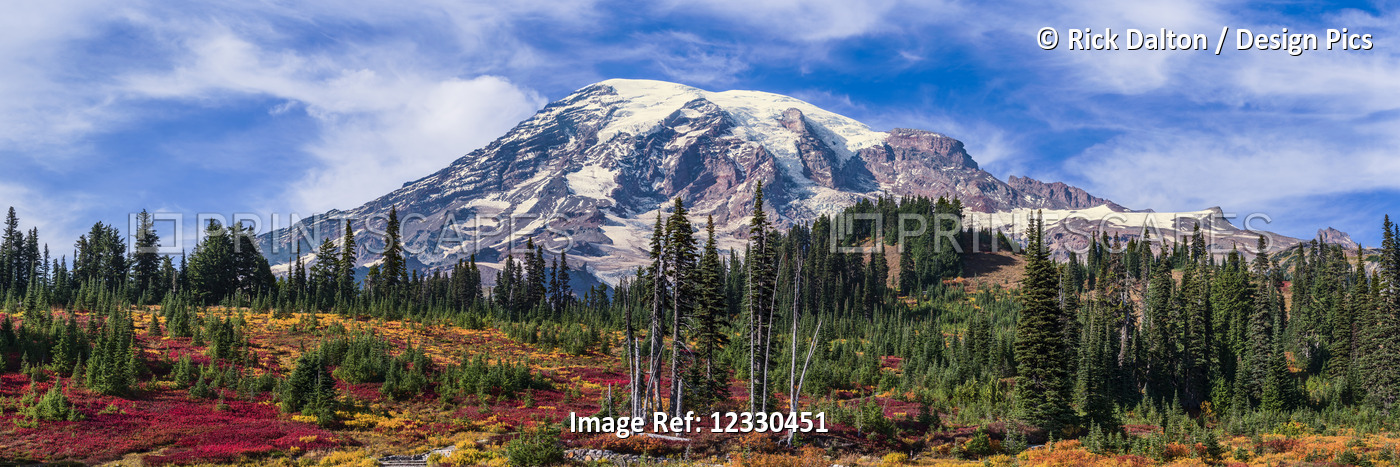 Mount Rainier, Mount Rainier National Park; Washington, United States Of America
