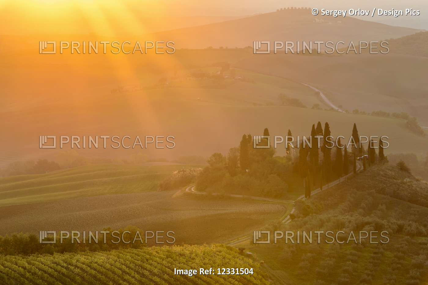 The intense sun rays of the morning sun illuminate layered Tuscany green hills, ...