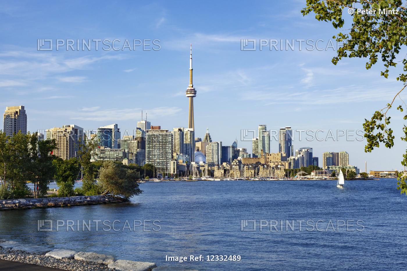 City of Toronto skyline from Trillium Park; Toronto, Ontario, Canada