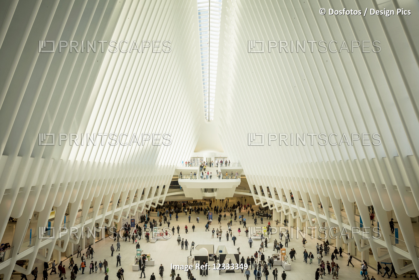 The Oculus, World Trade Center Transportation Hub; Manhattan, New York, United ...