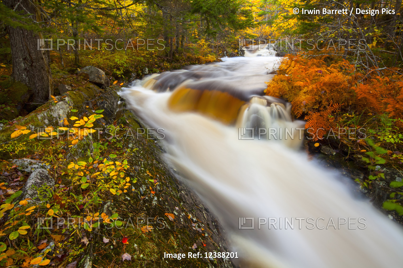 Vibrant autumn coloured foliage along Kings Brook with waterfalls and blur of ...