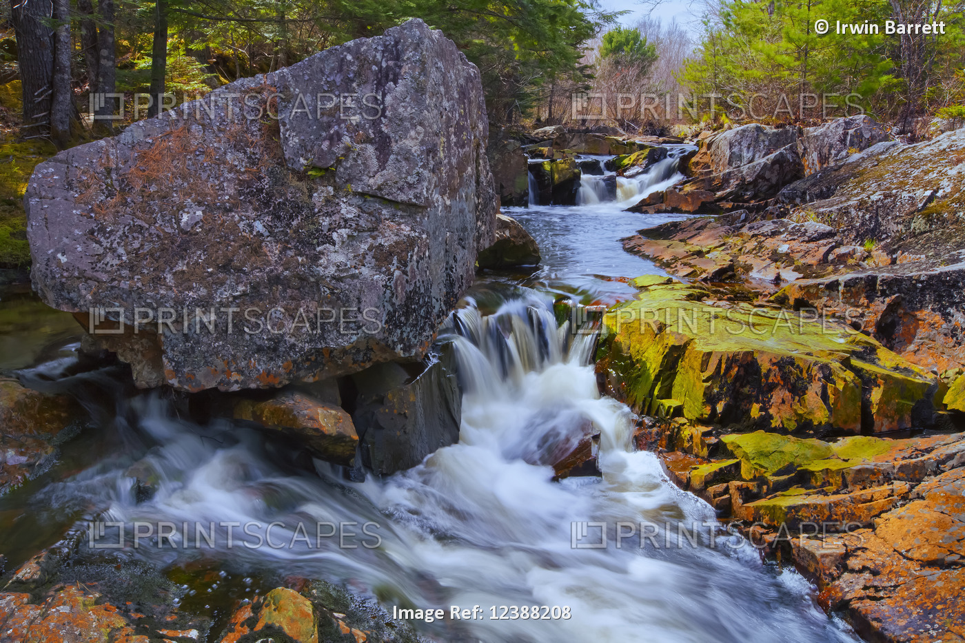 Kings Brook flowing over a rugged rocky landscape in springtime at Sleepy Cove, ...