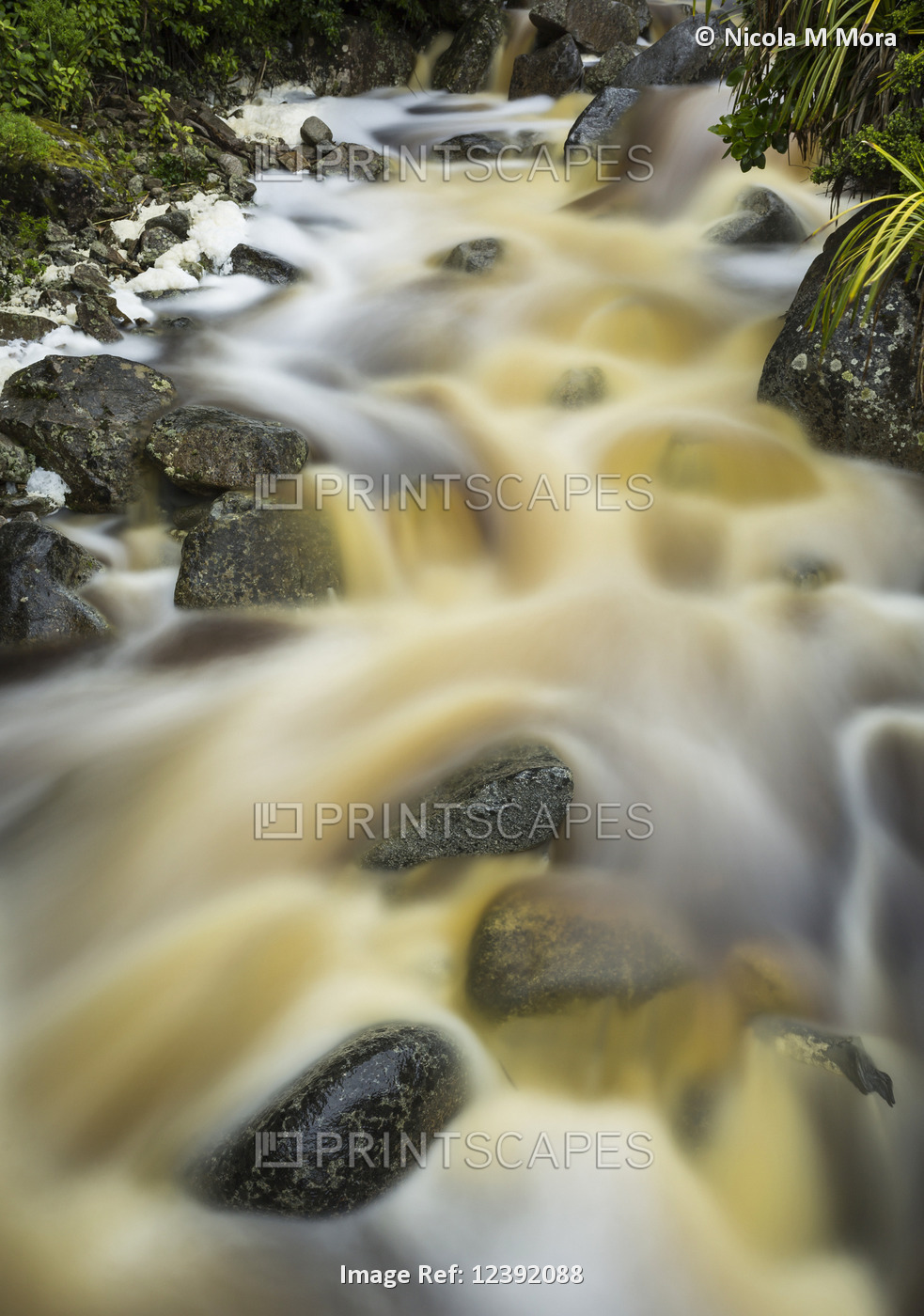 Beautiful Karamea stream with cascading misty water surrounded by New Zealand ...