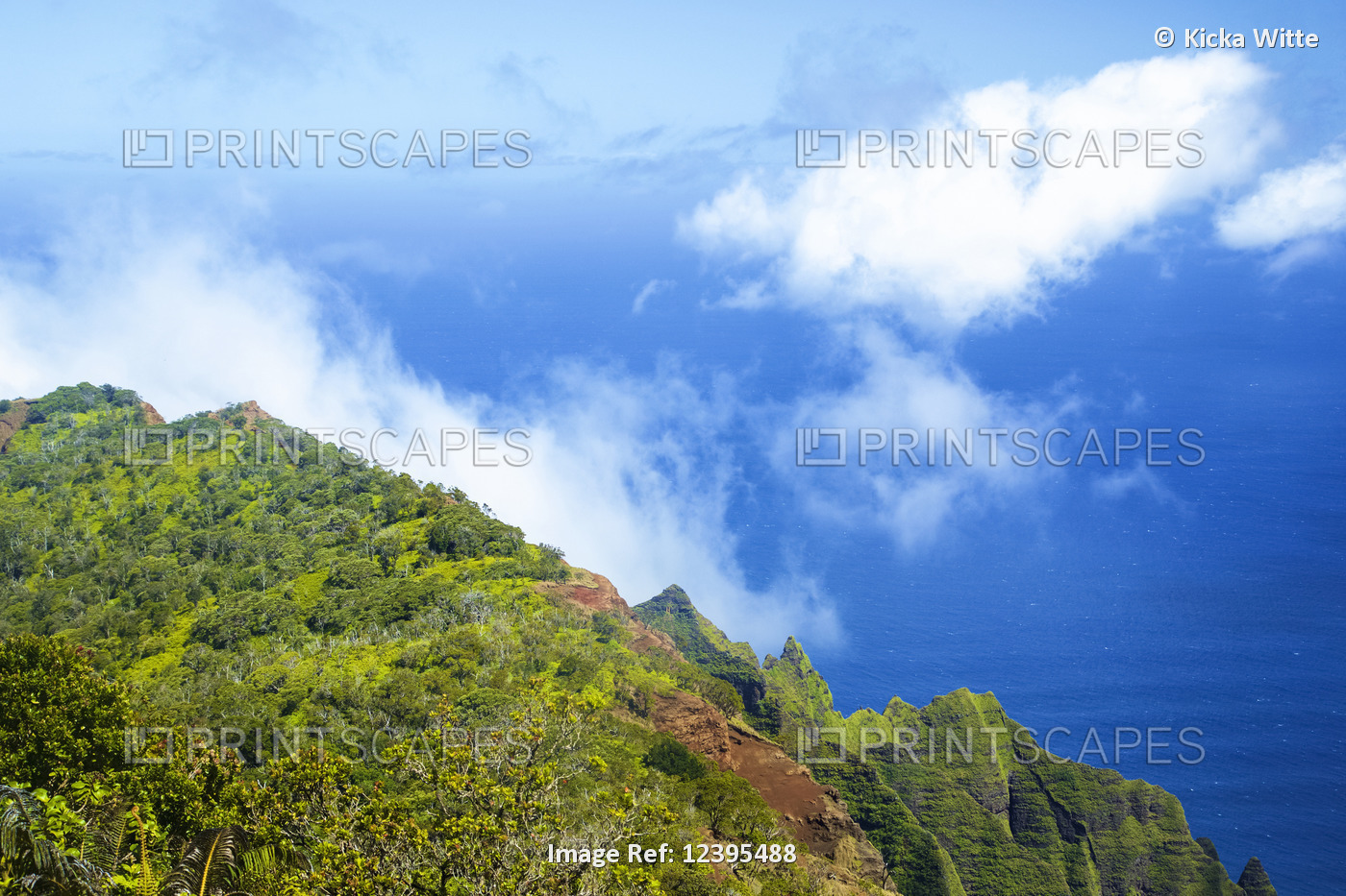 Rugged mountain peaks on a landscape covered in dense, lush foliage; Hanalei, ...