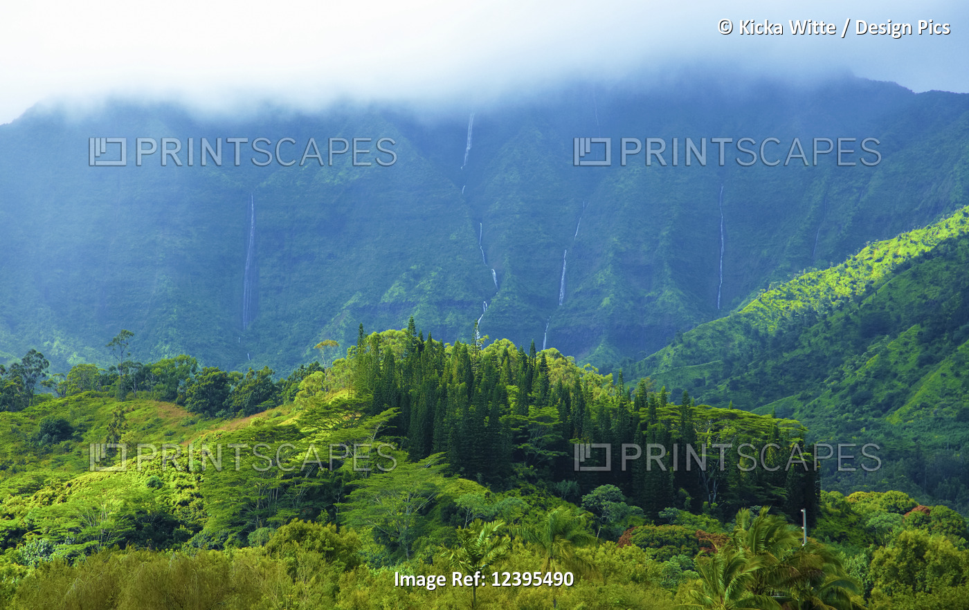 Lush foliage on the mountains of Kauai and water flowing from the steep cliffs ...