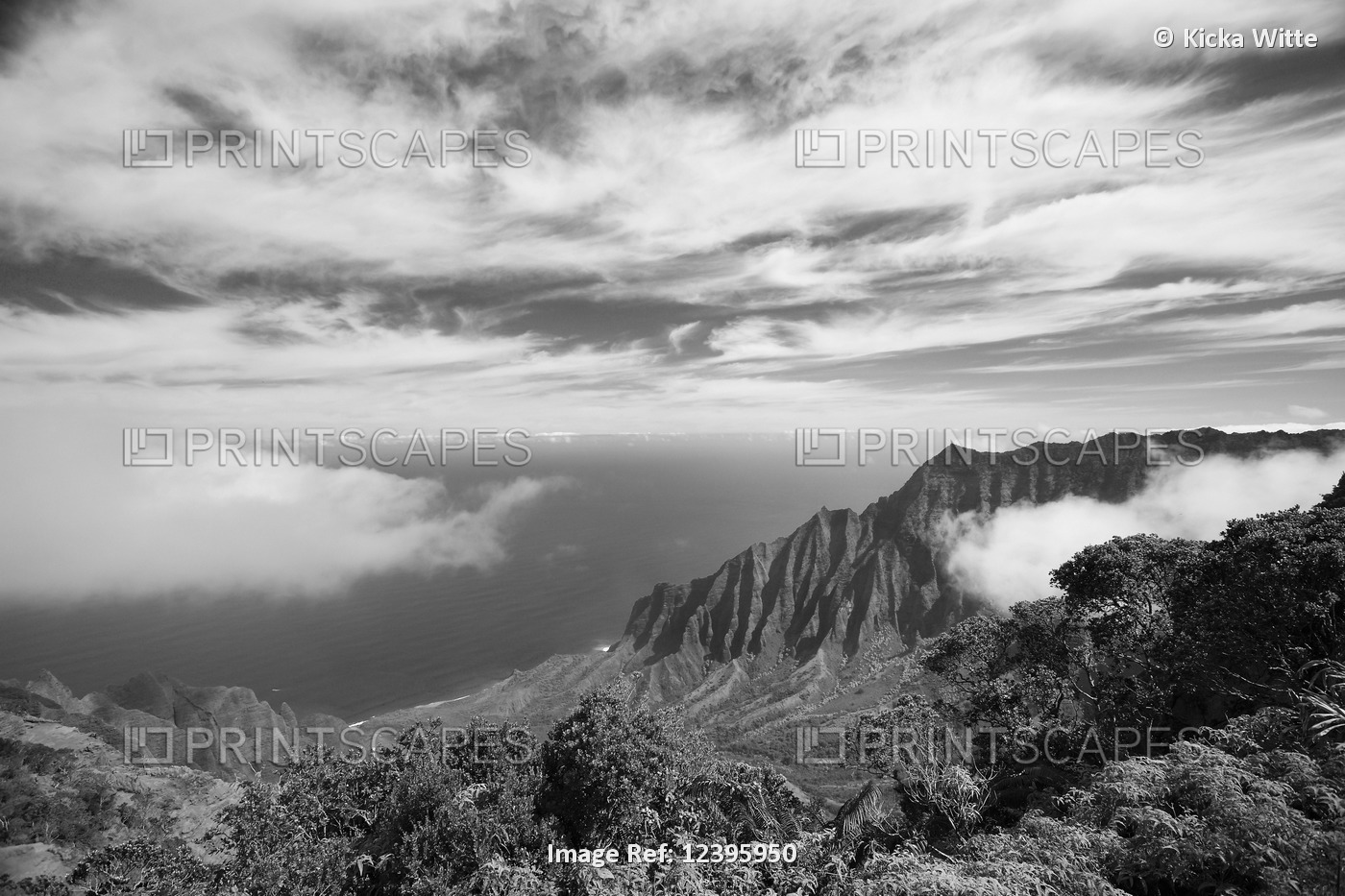 Black and white image of Kokee-Kalalau Lookout; Kapaa, Kauai, Hawaii, United ...