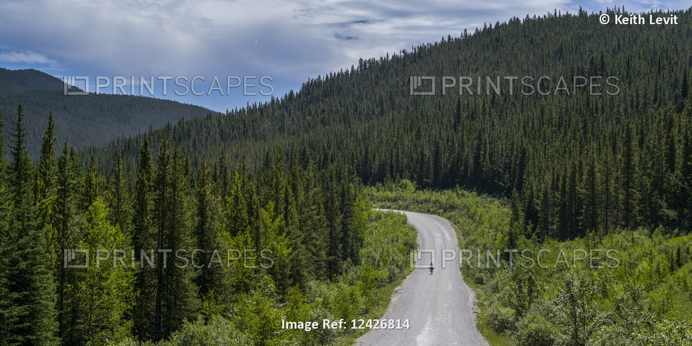 A cyclist rides in the middle of the road with dense forest in the foothills of ...