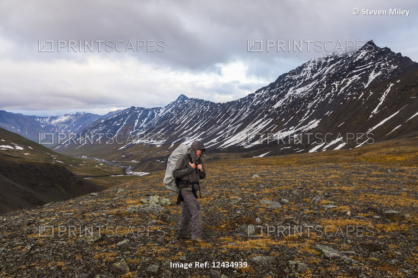 A backpacker ascends a pass during rainy weather in the Brooks Range; Alaska, ...