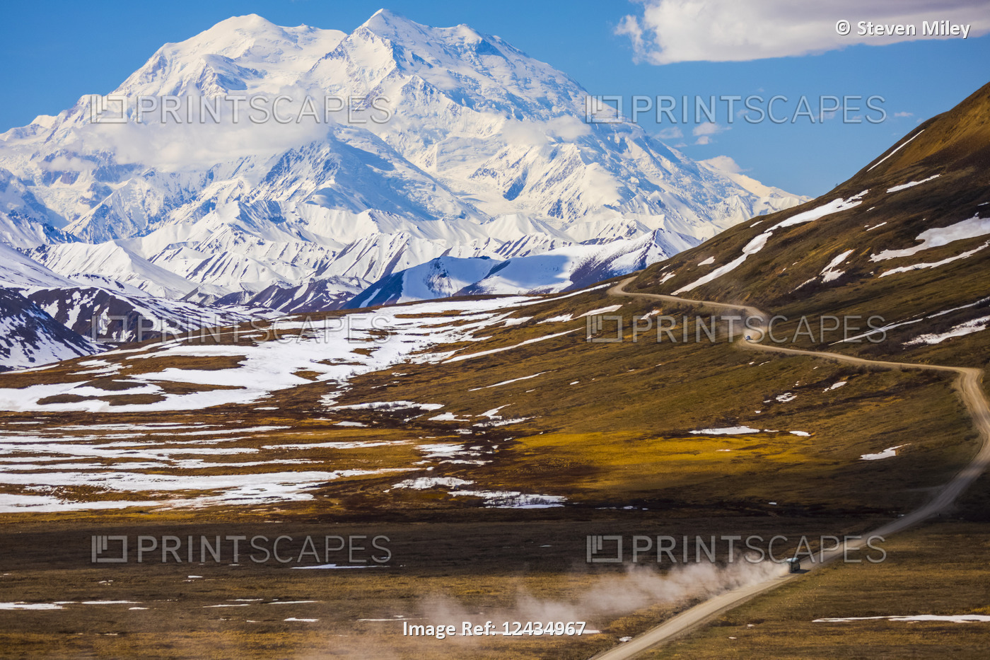 Classic view of Denali looming over a bus traveling along the road in Denali ...