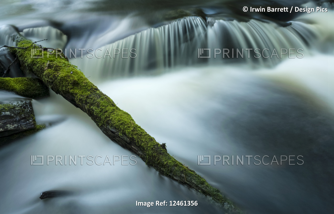 Mossy log and small waterfall, Liscomb Game Sanctuary; Nova Scotia, Canada