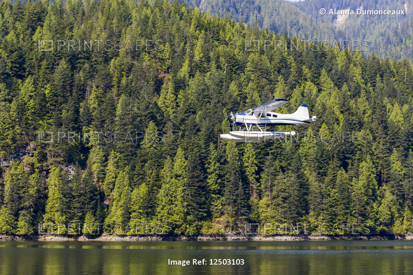 A float plane travels low above the ocean on a scenic tour of the forest and ...