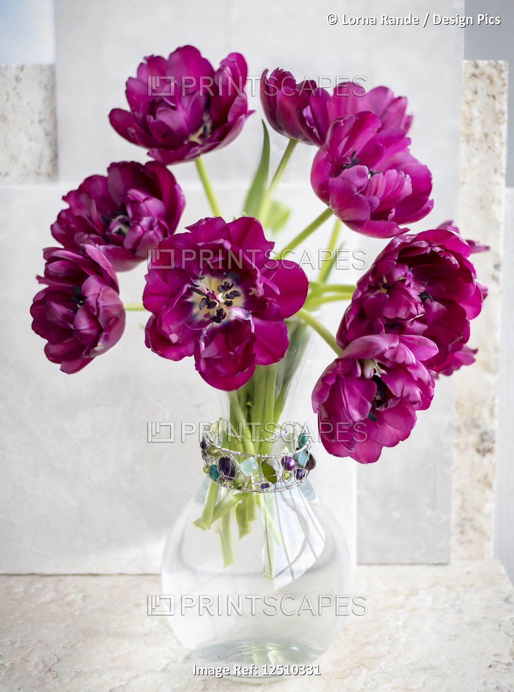 A bouquet of purple tulips in a decorative vase; Surrey, British Columbia, ...