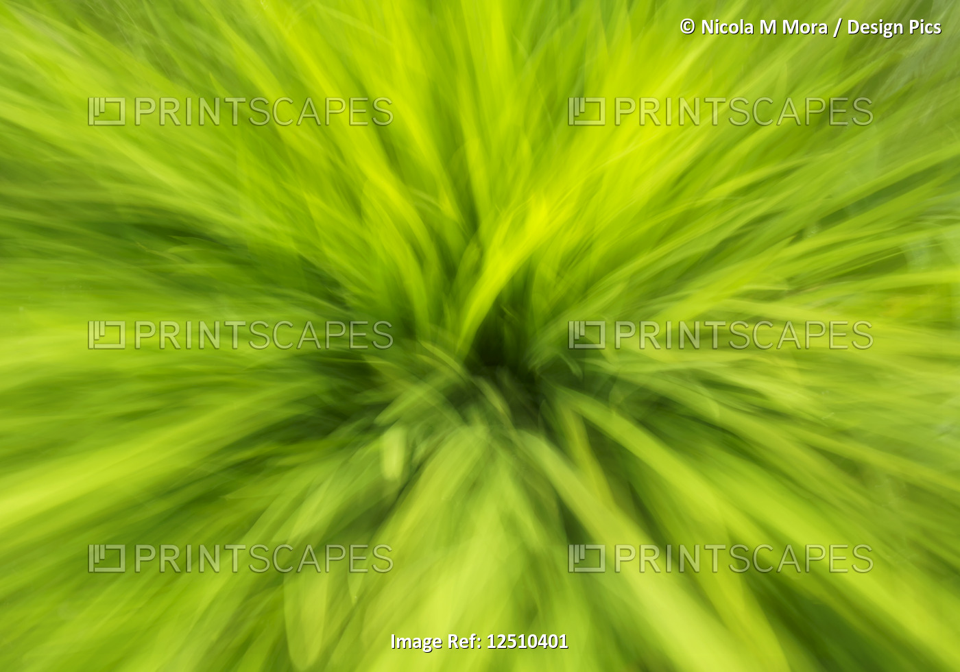 Abstract of moving bright green grasses resembling streaks of green lights
